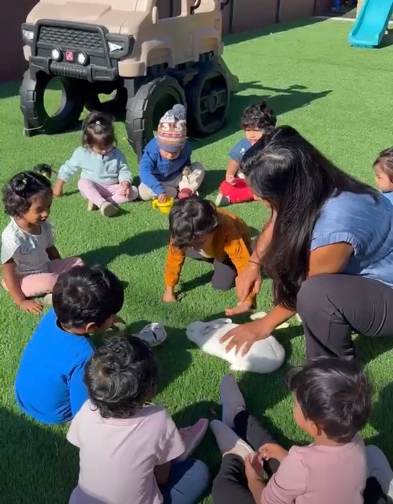 Animal Caring